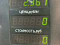 амортизатор передний Mercedes-Benz S-Класс W140 [2-й рестайлинг] 1996, 2.8 л., M 104.994, бензин, АКПП, серебро, седан, задний привод - фото №4