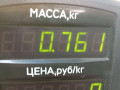 колба в бак Dacia Logan 1 поколение 2005, 1.6 л., K7M 710, бензин, МКПП, синий, седан, передний привод, 29706003501, 45900001 - фото №7