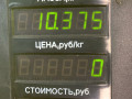 комплект сцепления Volkswagen Golf 5 поколение 2008, 1.4 л., BUD, бензин, 5МКПП, синий, хетчбэк 5 дв., передний привод - фото №14