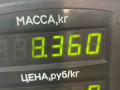 стойка передняя правая Citroen Xsara 1 поколение 2000, 1.6 л., NFZ (TU5JP), бензин, АКПП, синий, хетчбэк 5 дв., передний привод - фото №4