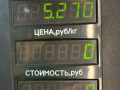 амортизатор передний правый Mercedes-Benz E-Класс W124 [рестайлинг] 1994, 3.0 л., OM 603.912, дизель, АКПП, синий, седан, задний привод - фото №5