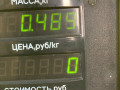 уплотнитель жабо Dacia Sandero 1 поколение 2008, 1.4 л., K7J 714, бензин, МКПП, серый, хетчбэк 5 дв., передний привод - фото №3