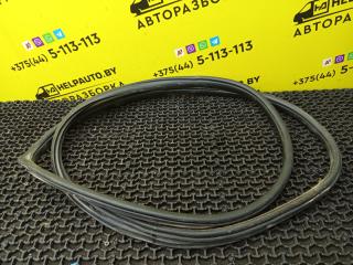 уплотнитель двери Hyundai Elantra 3 поколение [рестайлинг] XD 2005, 1.6 л., G4ED, бензин, МКПП, серебристый, седан, передний привод