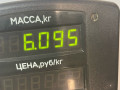 стойка передняя левая Volkswagen Golf 5 поколение 2008, 1.4 л., BUD, бензин, 5МКПП, синий, хетчбэк 5 дв., передний привод - фото №4