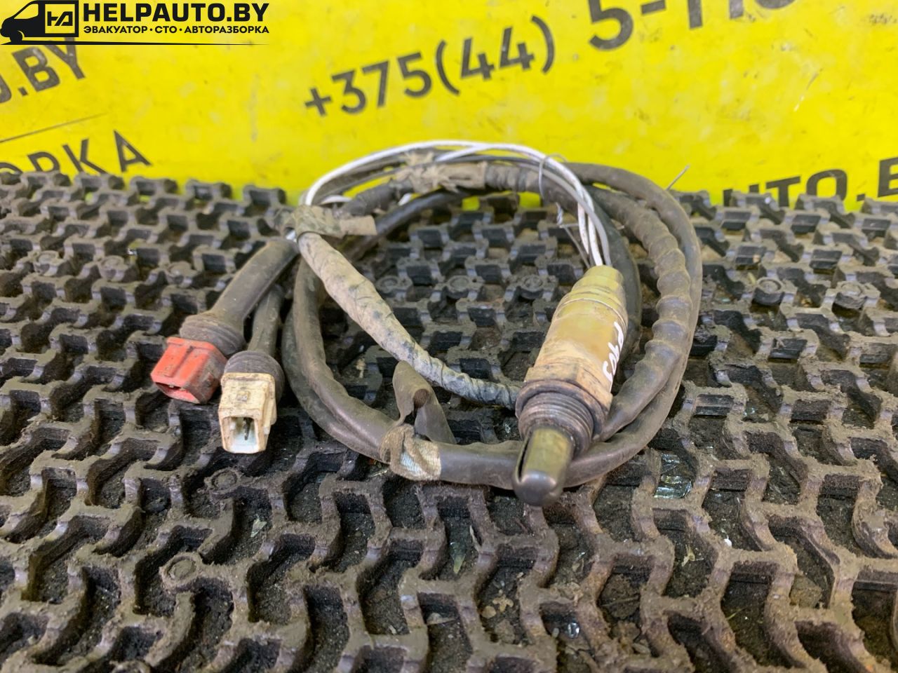 лямбда-зонд Peugeot 405 1 поколение 1992, 1.6 л., BDY (XU5M2Z), бензин, МКПП, синий, седан, передний привод - фото №1