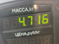 стойка задняя Rover 400 Series 2 поколение 1998, 1.6 л., бензин, МКПП, бордовый, седан, передний привод - фото №3