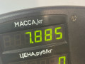 стойка передняя правая Renault Scenic 1 поколение 1998, 1.9 л., дизель, 5МКПП, голубой, минивэн, передний привод - фото №3