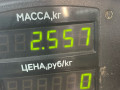 амортизатор задний левый Rover 400 Series 2 поколение 1999, 1.4 л., 14 K4F, бензин, МКПП, зеленый, хетчбэк 5 дв., передний привод - фото №4
