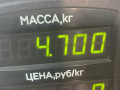 диск тормозной передний Volkswagen Golf 4 поколение (1997 - 2006), 1.9 л., дизель, передний привод, SDI - фото №4