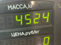 стойка задняя Rover 400 Series 2 поколение 1998, 1.6 л., бензин, МКПП, бордовый, седан, передний привод - фото №4