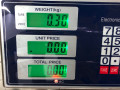 петля двери Dodge Caliber 1 поколение 2008, 1.8 л., бензин, МКПП, красный, хетчбэк 5 дв., передний привод - фото №3