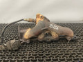 коллектор выпускной SEAT Ibiza 2 поколение 1998, 1.6 л., ALM, бензин, 5МКПП, синий, хетчбэк 5 дв., передний привод - фото №4