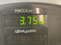 суппорт передний правый Opel Astra F 1992, 1.4 л., C 14 NZ, бензин, МКПП, красный, хетчбэк 5 дв., передний привод - фото №3