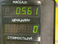 блок управления двигателем Opel Astra F 1994, 1.6 л., X 16 SZ, бензин, АКПП, синий, хетчбэк 5 дв., передний привод, 16204869, D95009 - фото №4