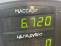 стойка передняя левая Rover 400 Series 2 поколение 1998, 1.6 л., бензин, МКПП, бордовый, седан, передний привод - фото №4