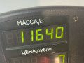 стойка передняя правая Renault Safrane 1 поколение [рестайлинг] 1997, 2.0 л., бензин, АКПП, синий, хетчбэк 5 дв., передний привод - фото №4