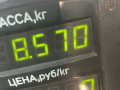 стойка передняя правая Alfa Romeo 146 1 поколение (1995 - 2001), 1.4 л., бензин, МКПП, хетчбэк 5 дв., передний привод - фото №4