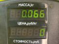 переключатель подрулевой (стрекоза) Opel Astra G (1998 - 2009), 2.0 л., бензин, МКПП, универсал, передний привод - фото №4