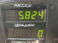 суппорт передний правый Nissan Serena C23 1992, 2.0 л., дизель, МКПП, серебро, минивэн, передний привод - фото №2
