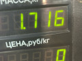 пружина задняя Renault Clio 2 поколение 2000, 1.4 л., бензин, МКПП, серебро, хетчбэк 3 дв., передний привод - фото №3