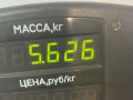 стойка задняя Rover 600 Series 1 поколение 1995, 2.0 л., F20Z1, бензин, 5МКПП, седан, передний привод, F20Z1 - фото №4