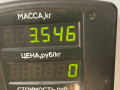 суппорт передний левый Mazda 323 6 поколение 1998, 2.0 л., дизель, МКПП, синий, хетчбэк 3 дв. - фото №5