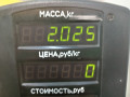 рычаг передний левый Dacia Logan 1 поколение 2005, 1.6 л., K7M 710, бензин, МКПП, синий, седан, передний привод - фото №7