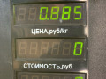 шкив распредвала Rover 600 Series 1 поколение 1997, 2.0 л., дизель, МКПП, синий, седан, передний привод - фото №3
