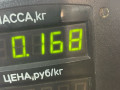 защита (кожух) ремня ГРМ Nissan Primera P10 1997, 2.0 л., D, CD20, дизель, МКПП, хетчбэк 5 дв., передний привод, CD20 - фото №3