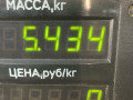 суппорт передний правый Chevrolet Lumina 2 поколение 1996, 3.1 л., i, бензин, АКПП, минивэн, передний привод, MINIVAN - фото №4
