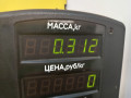 петля двери Dacia Logan 1 поколение 2005, 1.6 л., K7M 710, бензин, МКПП, синий, седан, передний привод - фото №3