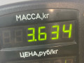 диск тормозной передний Fiat Bravo 1 поколение 1999, 1.2 л., бензин, МКПП, хетчбэк 3 дв., передний привод - фото №4
