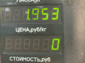 амортизатор задний Geely MK 1 поколение 2012, 1.5 л., MR479QA, бензин, 5МКПП, черный, седан, передний привод - фото №4