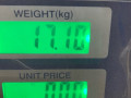 люк Opel Astra F 1994, 1.6 л., X 16 SZ, бензин, АКПП, синий, хетчбэк 5 дв., передний привод - фото №10