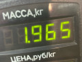 пружина задняя Opel Astra H 2005, 1.7 л., дизель, МКПП, синий, хетчбэк 5 дв., передний привод - фото №3