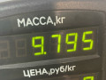 диск тормозной передний Nissan Murano Z50 2003, 3.5 л., бензин, АКПП, синий, внедорожник 5 дв. - фото №4