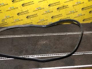 уплотнитель двери Ford Galaxy 1 поколение [рестайлинг] 2002, 1.9 л., дизель, МКПП, серебро, минивэн, передний привод