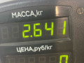 блок ABS Citroen Xsara 1 поколение [рестайлинг] 2001, 1.9 л., дизель, МКПП, универсал, 0273004440 - фото №3