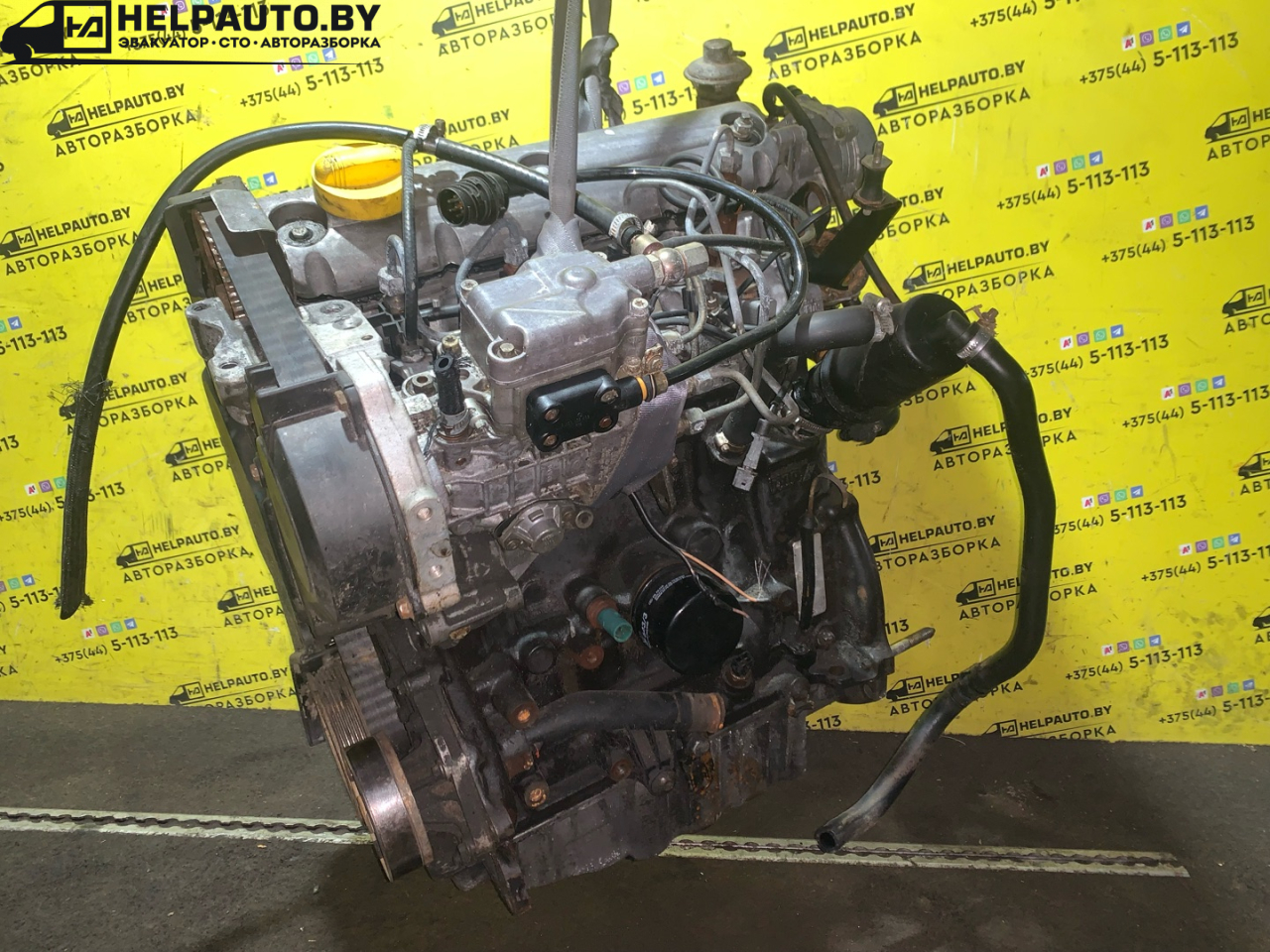 двигатель Renault Scenic 1 поколение 1998, 1.9 л., F9Q 716, дизель, МКПП, синий, минивэн, передний привод, F9QF716, CO52519 - фото №1