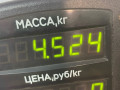 пружина задняя Ford Escort 4 поколение 1989, 1.6 л., дизель, МКПП, хетчбэк 3 дв., передний привод, LTC - фото №3