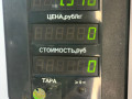 вентилятор радиатора Volkswagen Polo 4 поколение [рестайлинг] 2005, 1.4 л., бензин, МКПП, передний привод - фото №4