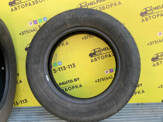 шина 