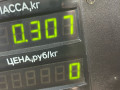 декоративная крышка двигателя Opel Zafira 1 поколение (A) 2002, 2.2 л., дизель, МКПП, синий, минивэн, передний привод - фото №3