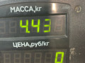 диск тормозной задний Volkswagen Golf 3 поколение 1993, 1.9 л., TDi, бензин, МКПП, хетчбэк 5 дв., передний привод - фото №3