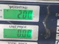блок ABS Volkswagen Jetta 5 поколение 2010, 1.6 л., BSE, бензин, 5МКПП, синий, седан, передний привод, 1K0907379P - фото №6