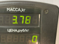 суппорт передний правый Toyota Corolla 5 поколение (E80) 1984, 1.3 л., бензин, МКПП, красный, хетчбэк 5 дв., передний привод - фото №3