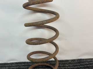 пружина задняя Fiat Bravo 1 поколение 1997, 1.4 л., бензин, синий, хетчбэк 3 дв., передний привод