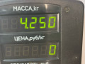суппорт передний правый Rover 400 Series 2 поколение 1998, 1.6 л., бензин, МКПП, зеленый, хетчбэк 5 дв. - фото №3