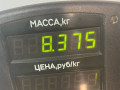 стойка передняя левая Renault Scenic 1 поколение 1998, 1.9 л., F9Q 716, дизель, МКПП, синий, минивэн, передний привод - фото №3