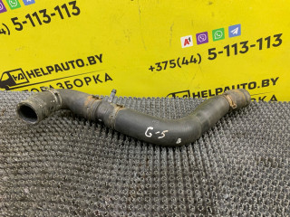 патрубок радиатора Volkswagen Golf 5 поколение 2008, 1.4 л., BUD, бензин, 5МКПП, синий, хетчбэк 5 дв., передний привод